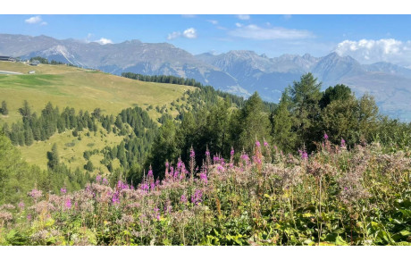 La 6000D à La Plagne